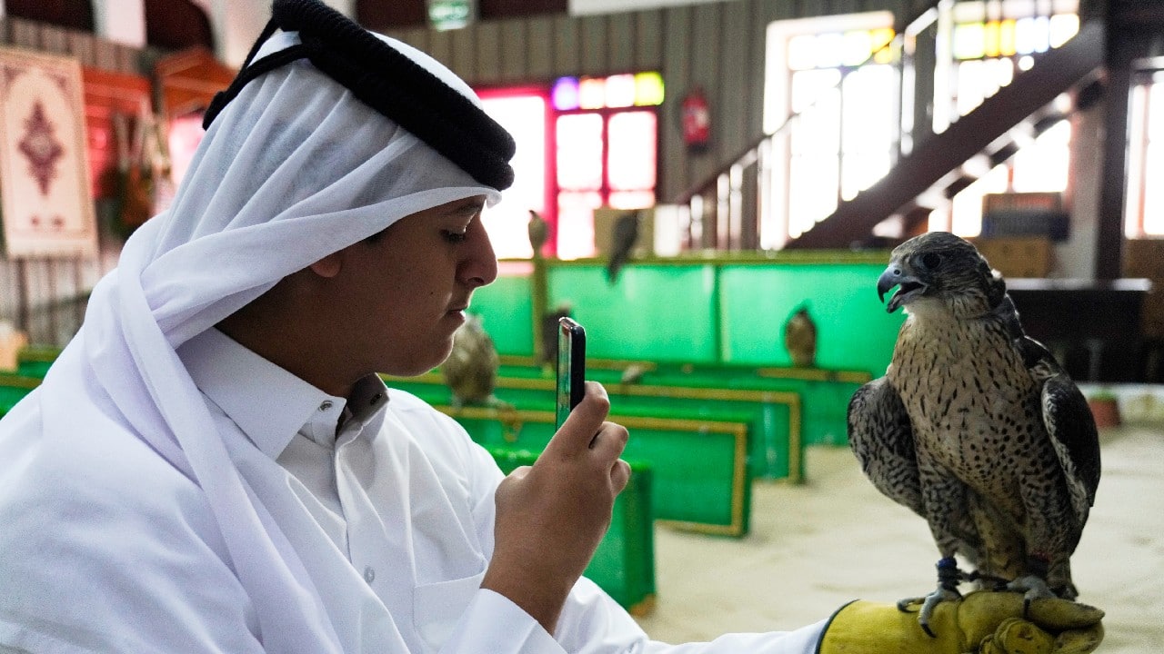The Qatari capital’s oldest souq also features shisha lounges, antique stores, art galleries, restaurants and a stop where shoppers can have a falcon — the national bird of this small Arab country jutting out into the Persian Gulf — sit on their arm. (Image: AP)