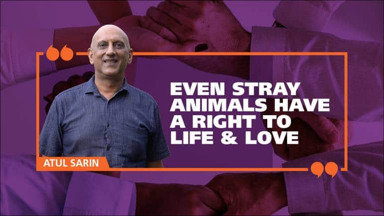 Atul Sarin: An Advocate and Hero of Animal Rights and Welfare