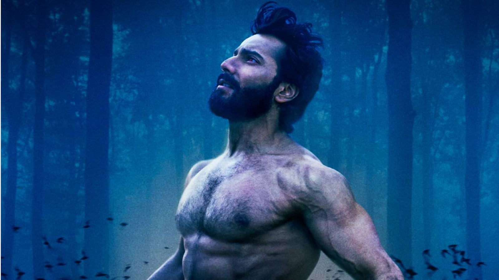 Friday Release | Varun Dhawan's 'Bhediya' is a werewolf hotchpotch