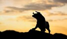 Bull run in markets only half-way through, says Rohit Srivastava of Indiacharts