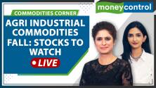 Commodities Live: Tyre stocks rally as rubber skids to 2-year low; cotton 50% off May highs