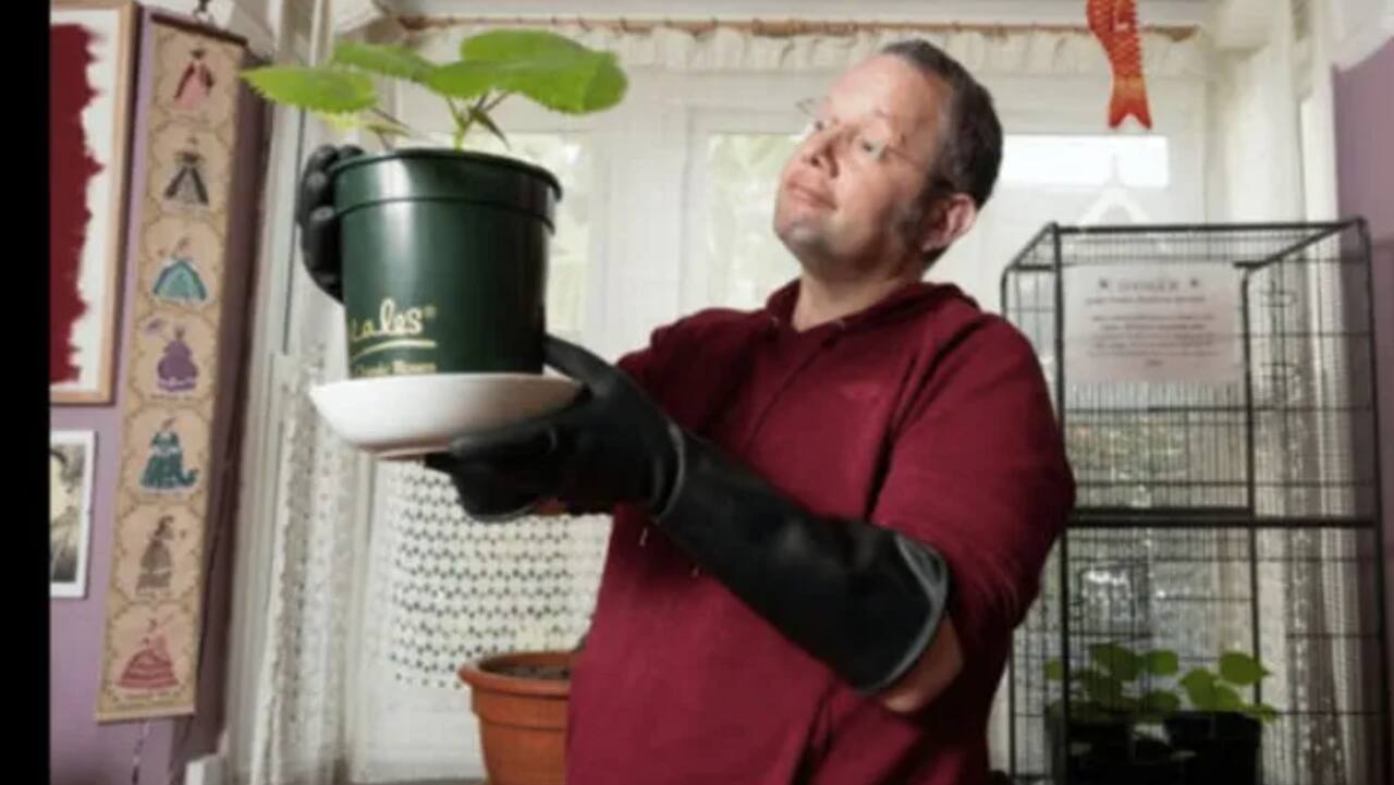 UK man grows 'world's most dangerous plant' at home because he was bored
