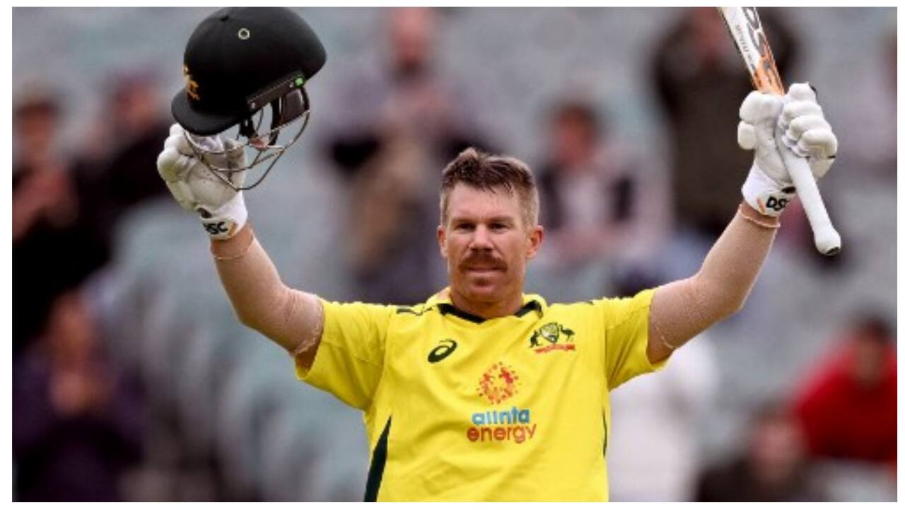 Watch: David Warner makes young fan's day at Australia vs England ODI