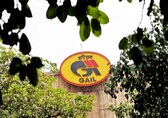 GAIL Q3 net profit dips 92% to Rs 245 crore, stock tumbles 5%