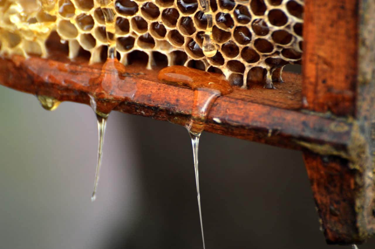 Beekepeers hit the sweet spot in the Kashmir Valley