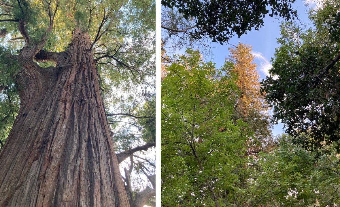 (Photo: Jayanthi Madhukar)