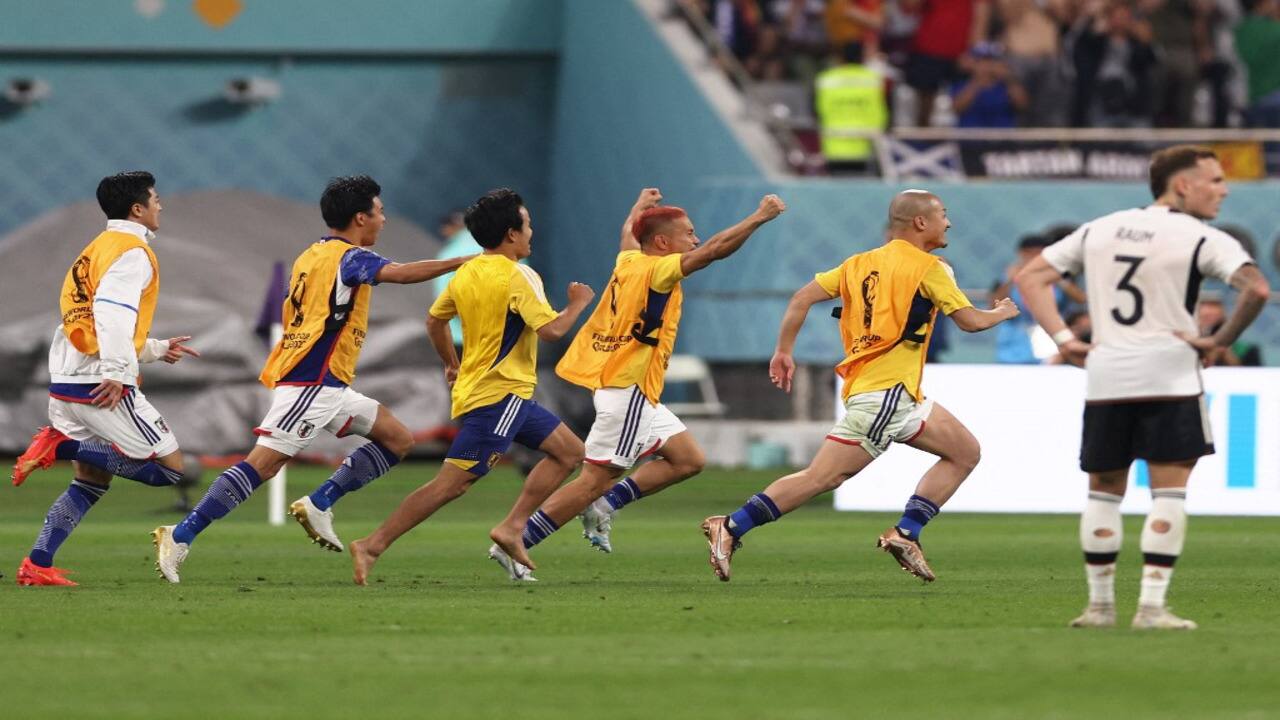 Japan has this cute animal to thank for German win