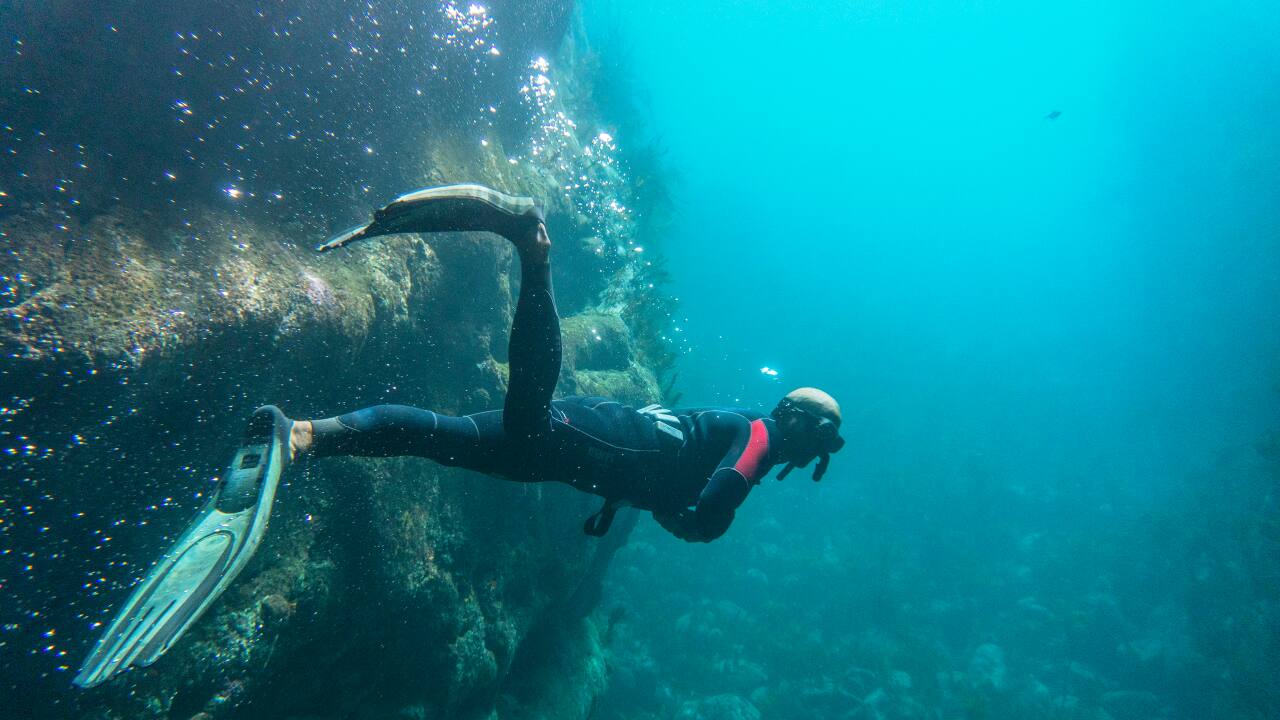 Love of Adventure | Nine gorgeous underwater diving destinations around the world