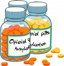 Opioids reduce gut activity and can cause severe constipation. (Image: Wikimedia Commons) 