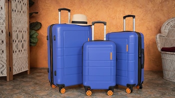 Indian luggage sector to benefit from revenge travel, formalization.