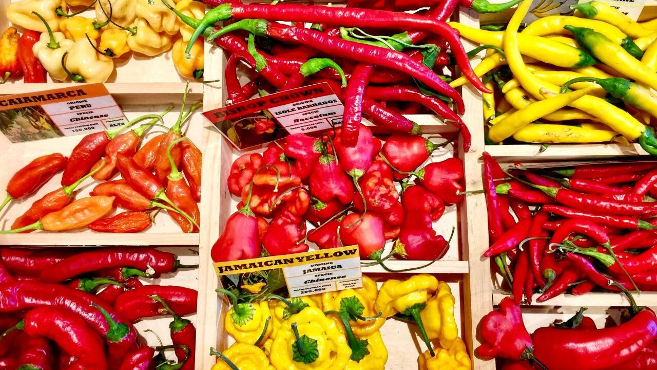 Why some like it hot: The science of spiciness Why some like it hot: The science of spiciness