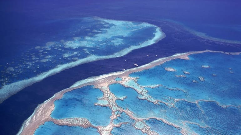 UN: Great Barrier Reef should be on heritage ''danger'' list