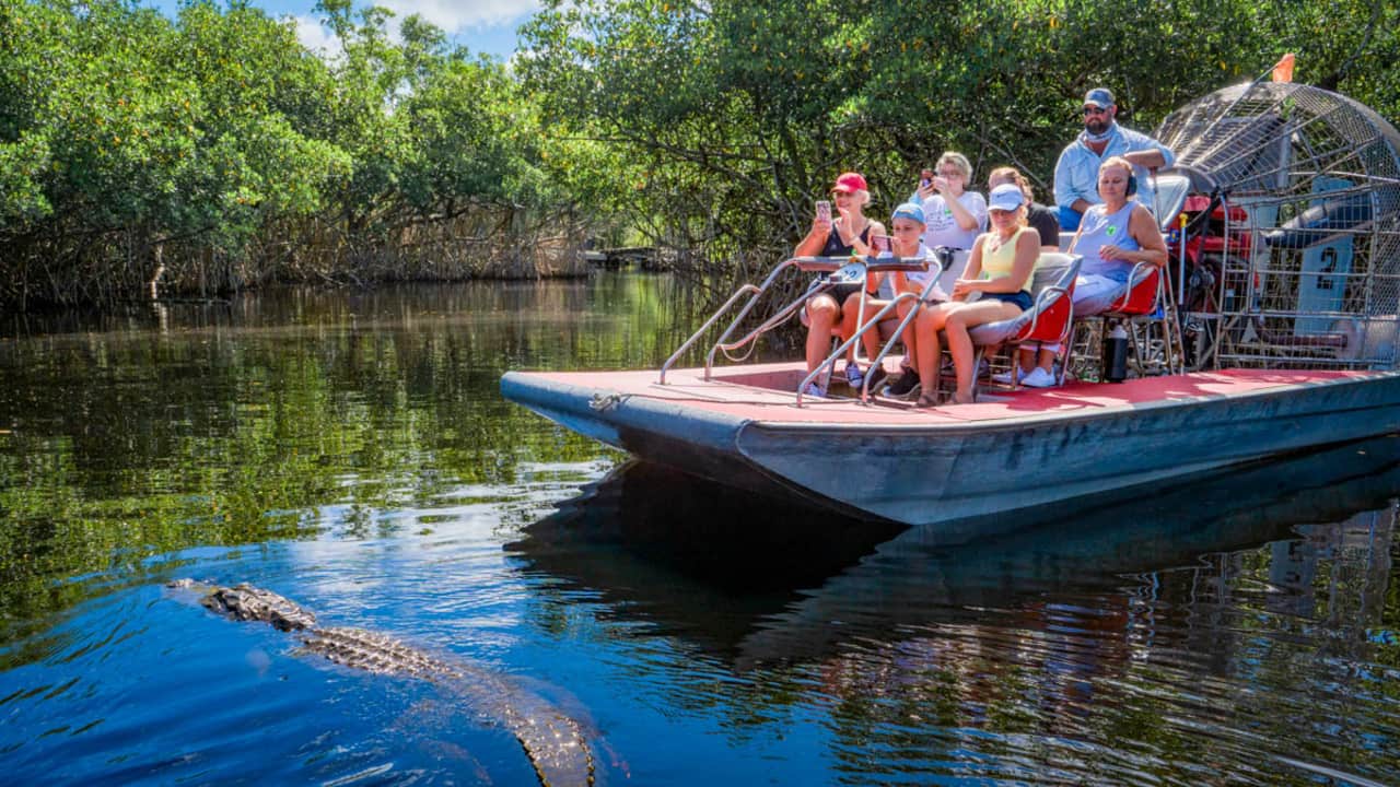 MC Travel Special | A taste of the real Florida at the Everglades MC Travel Special | A taste of the real Florida at the Everglades