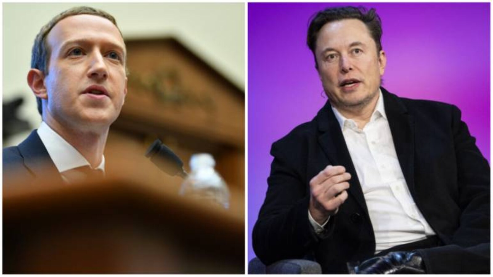 Tech bros Musk & Zuckerberg revive rituals of Neanderthal leadership