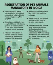 (Graphic credits: Upnesh Raval)