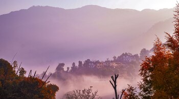 Binsar, Uttarakhand: Nothing can compete when nature decides to show off. (Imge: Tanishq Saini via Unsplash)
