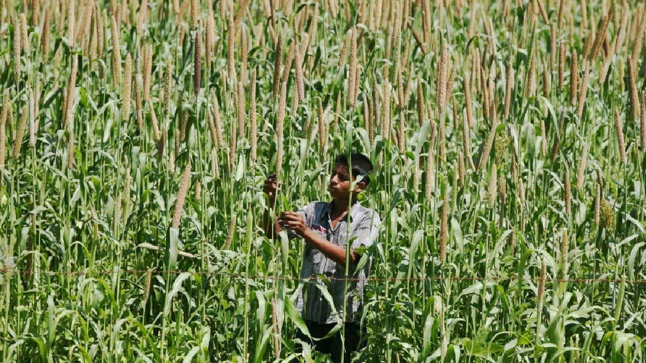 Biting the bullet on millets