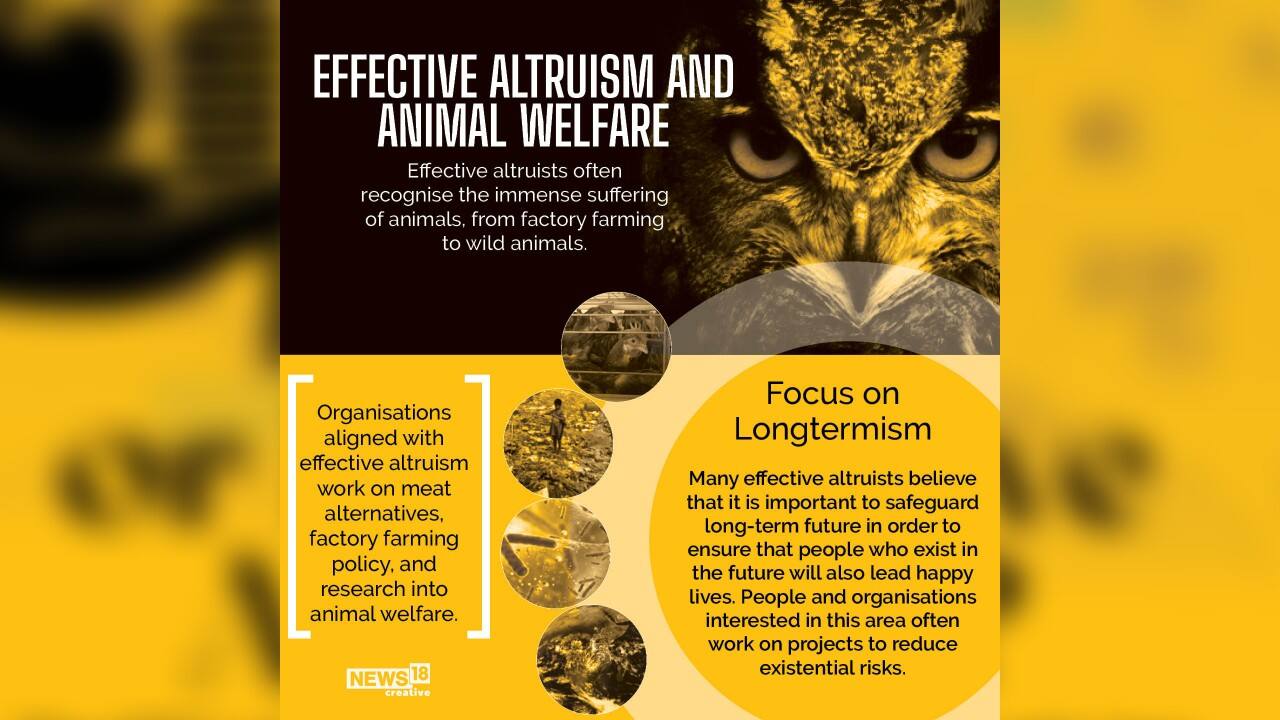 Effective altruists often recognize the immense suffering of animals, from factory farming to wild animals. (Image: News18 Creative)