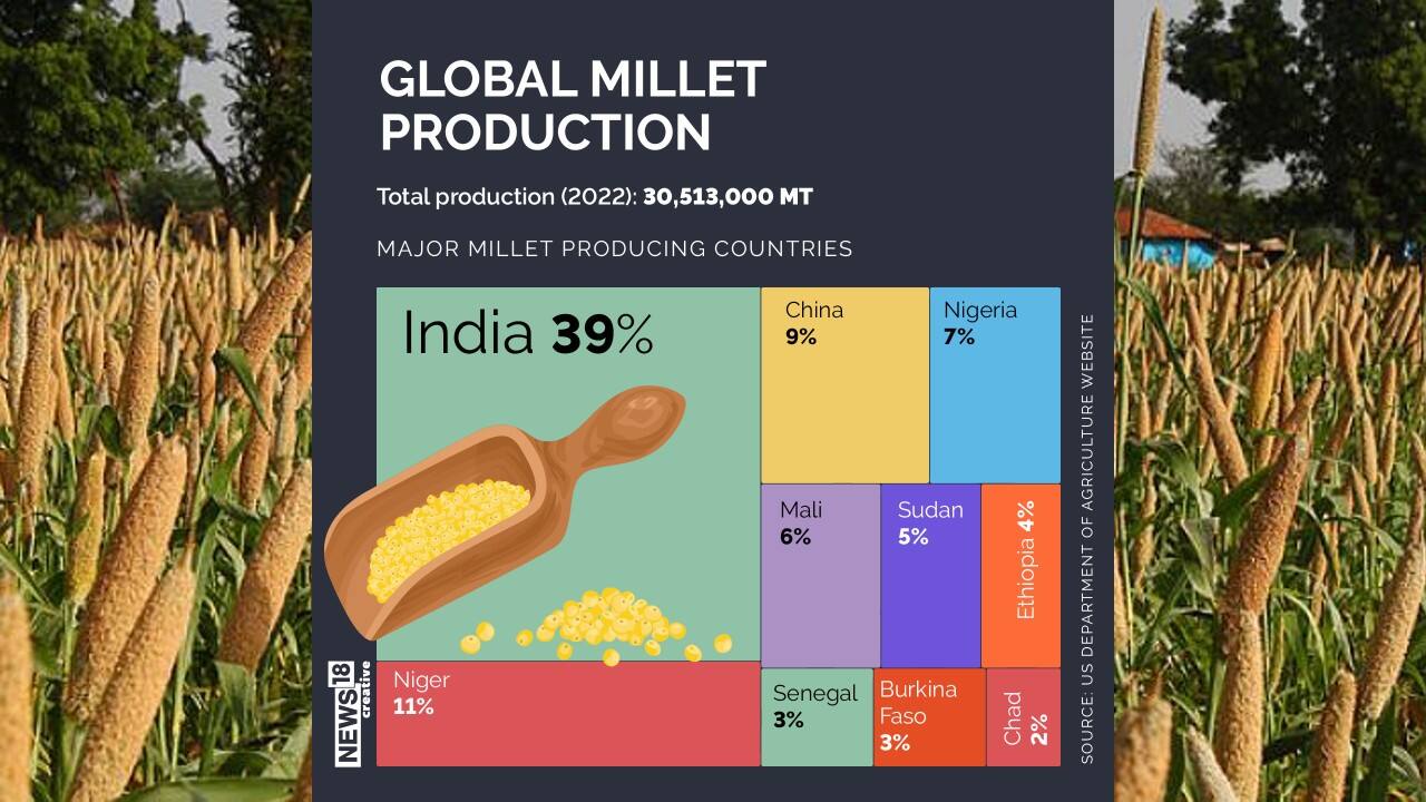 A look at major millet producing countries. India tops the list. (Image: News18 Creative) A look at major millet producing countries. India tops the list. (Image: News18 Creative)