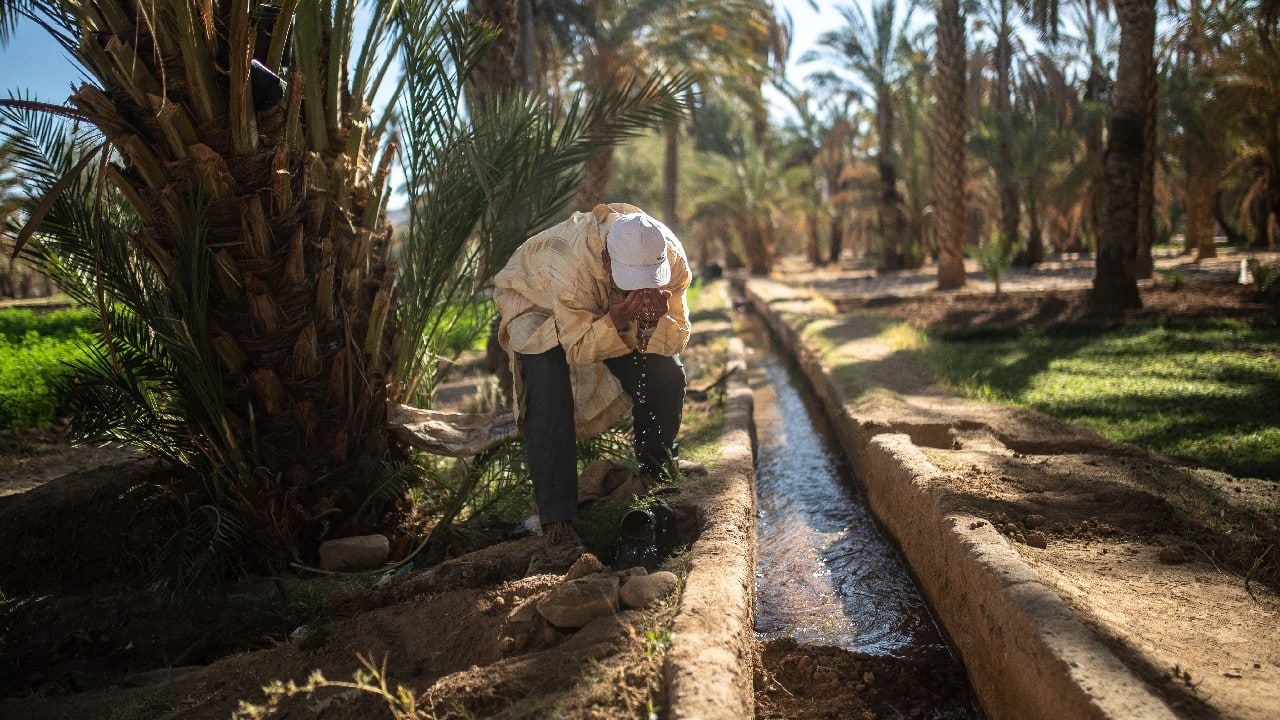 He called for oasis inhabitants to be provided with training to help them move away from traditional irrigation in favor of drip irrigation, which requires significantly less water. But sometimes, Bouazza said, it’s hard not to despair when climate warnings are ignored. “It is like a little child holds a dying bird in his hand, and all he does is laugh. This is how we are treating Mother Earth.” (Image: AP)