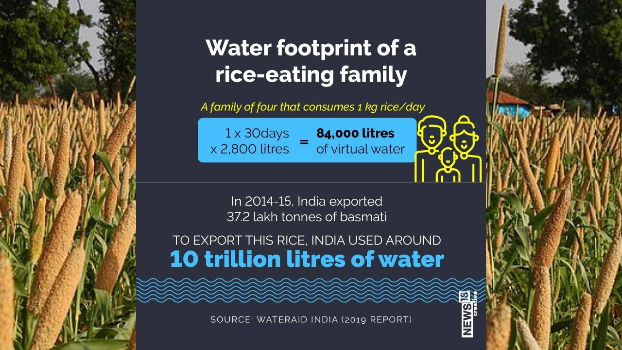 In 2014-15, India exported 37.2 lakh tonnes of basmati. To export this rice, India used around 10 trillion litres of water. (Image: News18 Creative) In 2014-15, India exported 37.2 lakh tonnes of basmati. To export this rice, India used around 10 trillion litres of water. (Image: News18 Creative)