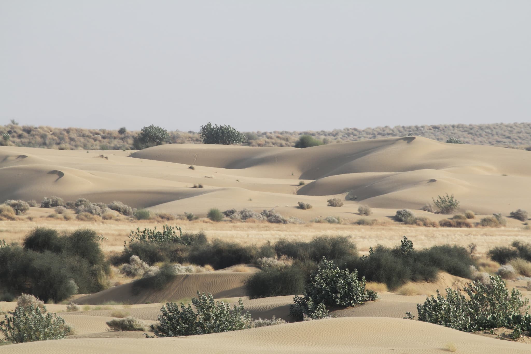 Sand dunes are an example of ONEs. Photo by Chinmayisk/Wikimedia Commons.