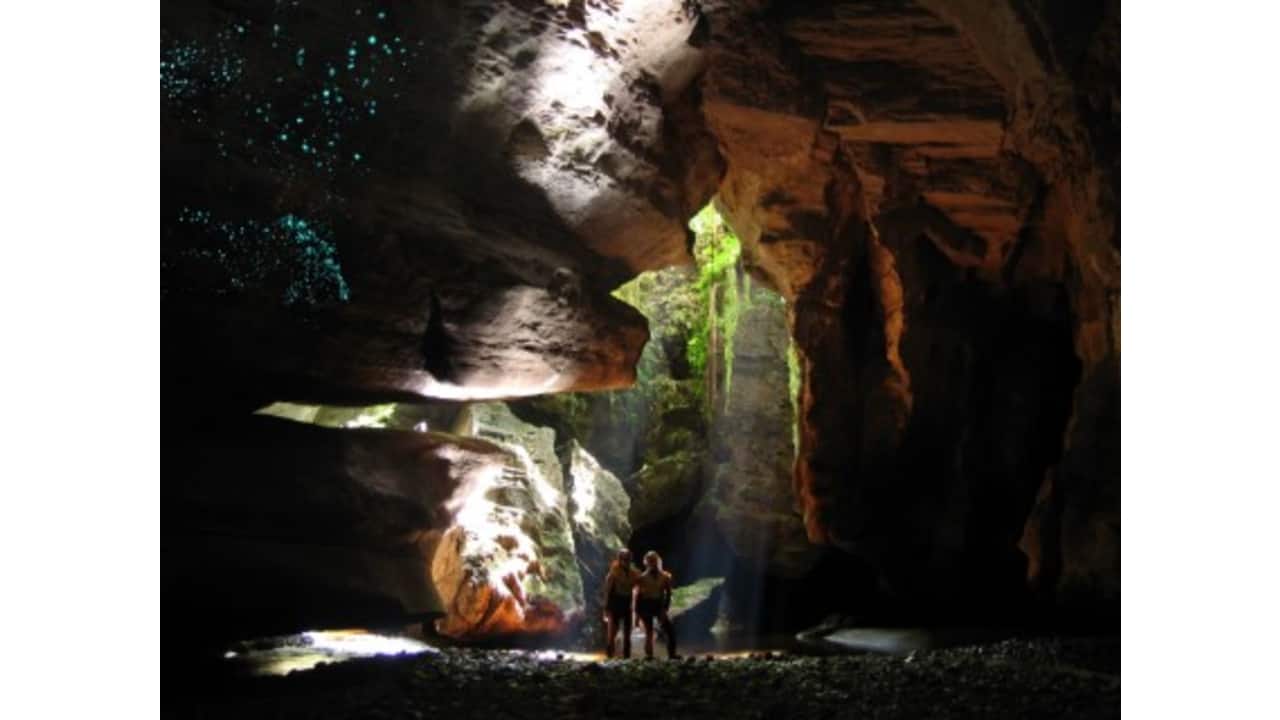 Glowworms (Photo credit: Aidan Schurr/Underworld Rafting)
