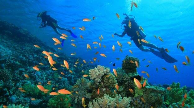Andaman & Nicobar islands (Photo: Andaman Nicobar Tour/Twitter)