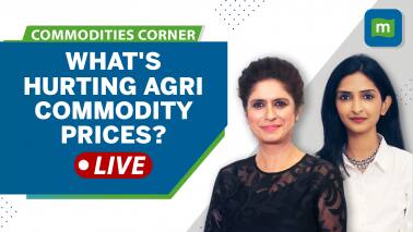 Commodities Live: Cotton, wheat, palm oil &amp; other agri commodities off 2022 highs | Time to buy or stay away?