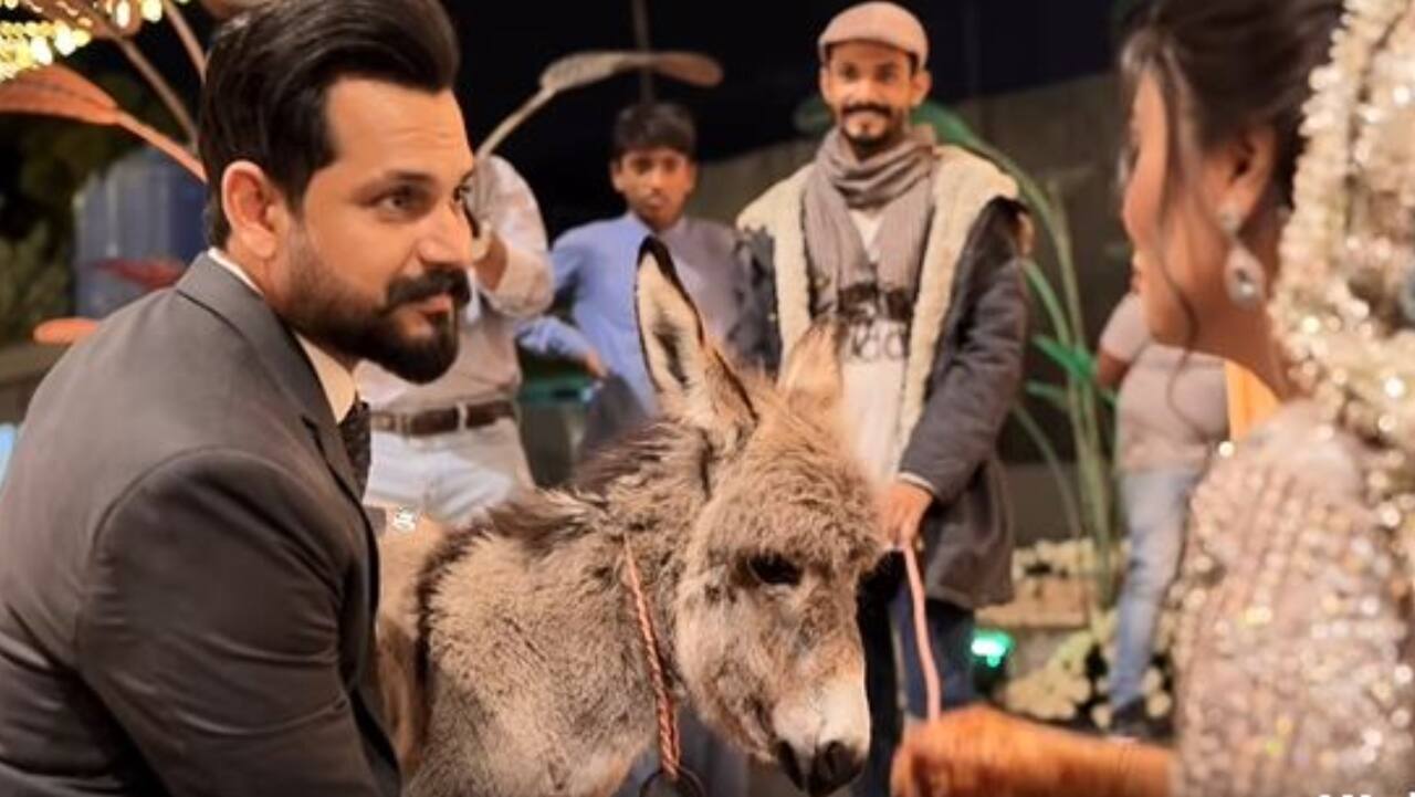 Pakistani man gifts bride a donkey during wedding and then this happened | Watch