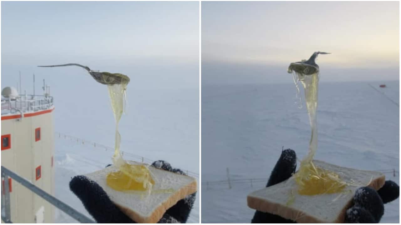 Frozen honey on toast at -65 degrees Celsius. (Image credit: Cyprien Verseux/ Instagram)