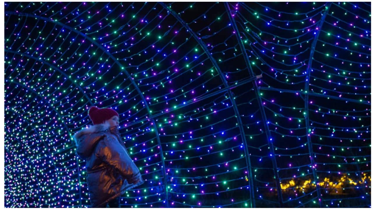 A child looks to her mom in a light tunnel as thousands of lights decorate the Eleanor Cabot Bradley Estate as part of the Trustees' Winter lights event in Canton, Massachusetts on December 17, 2022. A child looks to her mom in a light tunnel as thousands of lights decorate the Eleanor Cabot Bradley Estate as part of the Trustees' Winter lights event in Canton, Massachusetts on December 17, 2022.