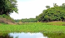 The Amazon’s largest isolated tribe is dying