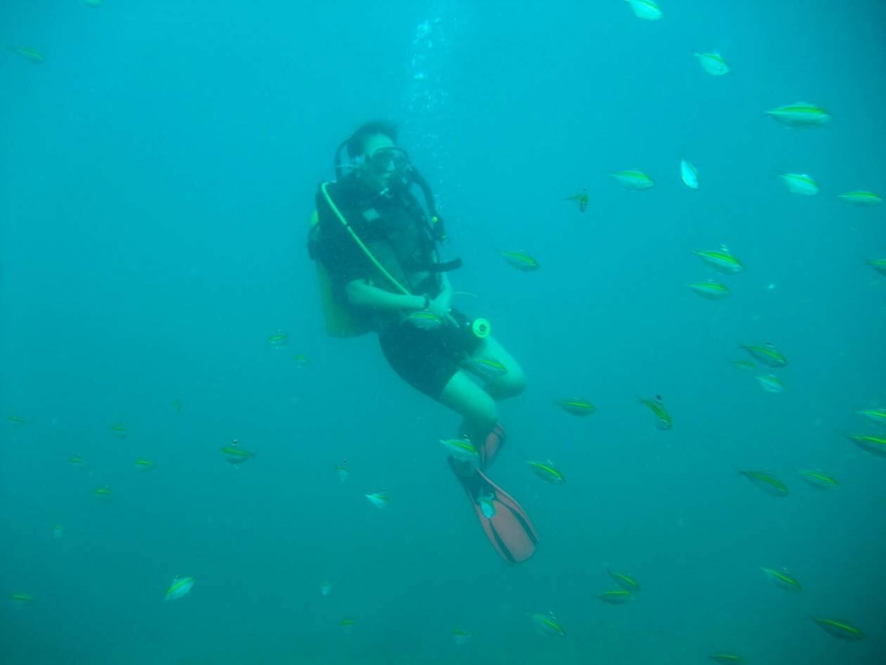 Goa. (Photo: Goa Diving/Twitter)