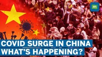 Covid Surge In China | Experts Predict A Million Cases In 90 Days | Covid-19 Update