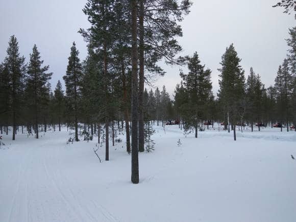 Saariselkä, Lapland, Finland. (Photo: Anita Rao Kashi)
