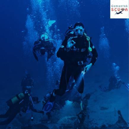 Maharashtra. (Photo: Gomantak Scuba-Diving School/Twitter)