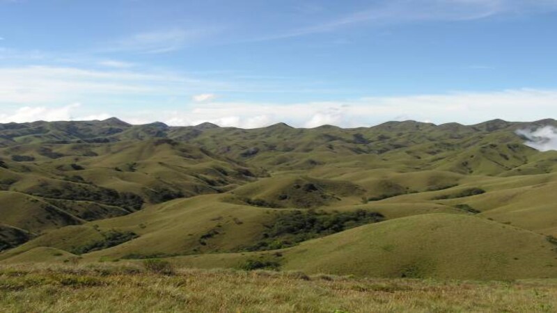 Explainer | Wastelands or grasslands? India’s history with defining open ecosystems