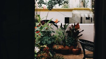 Representational image. (Photo: Smrithi Rao via Unsplash)