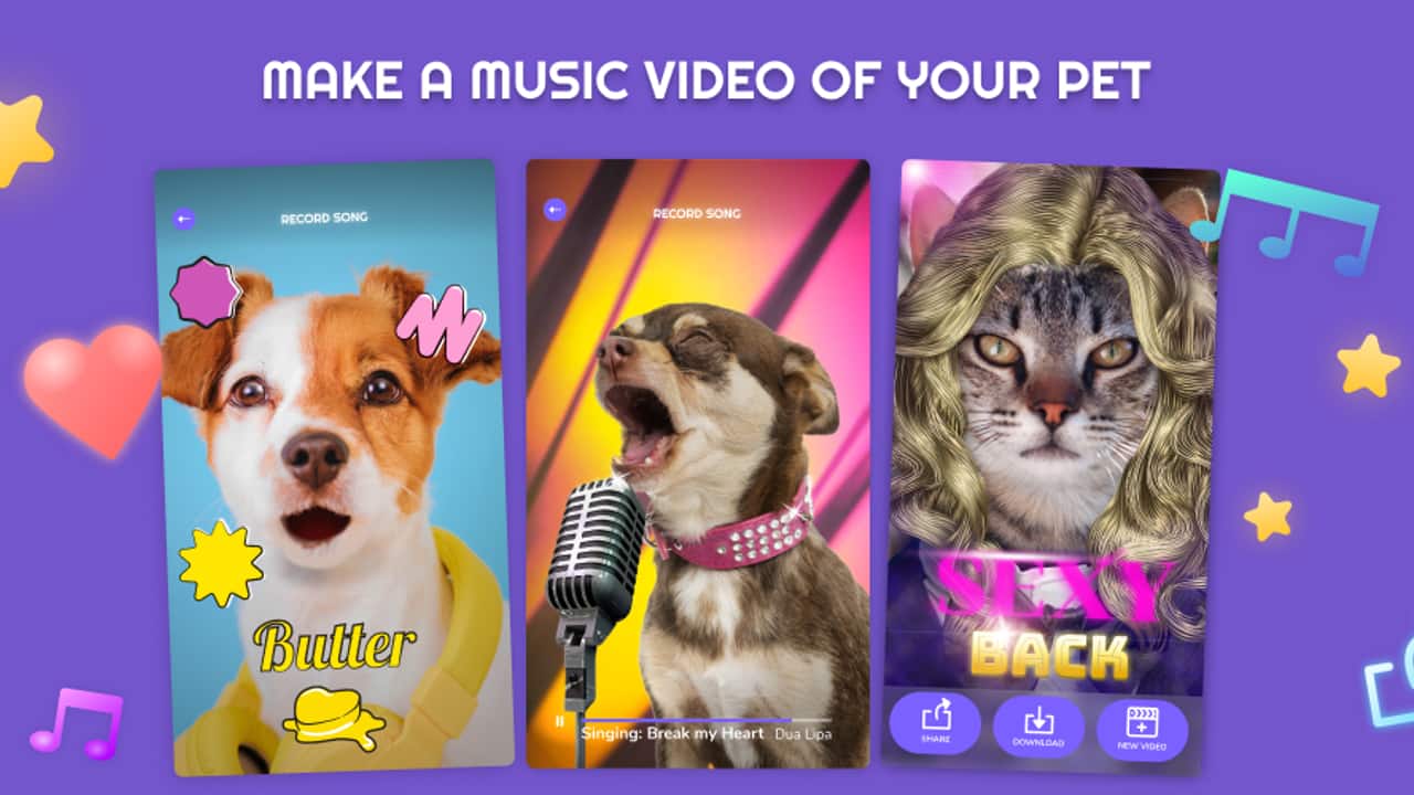 Star's Pets - Apps on Google Play