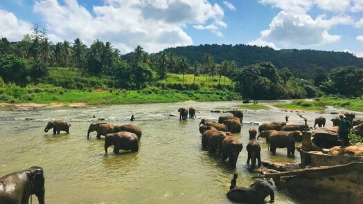 Budget travel | Sri Lanka: Sojourn through the emerald isle