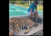 Tamil actor Santhanam holds tiger's tail in viral video, slammed