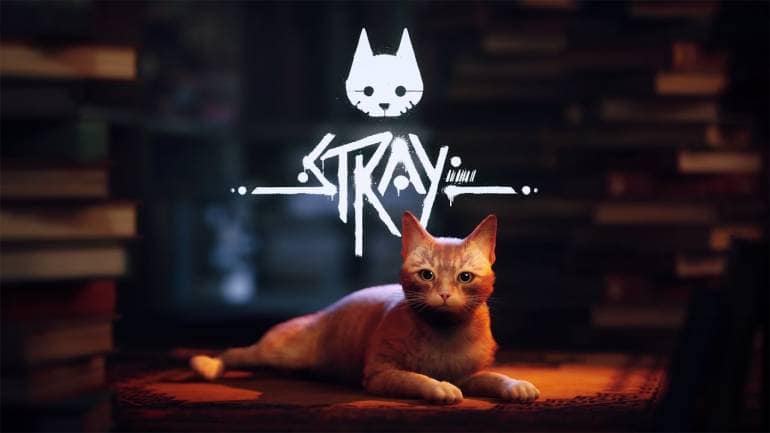 Cyberpunk cat simulator Stray won best indie debut game of 2022. 