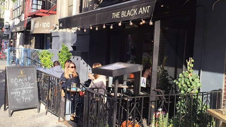 The Black Ant, NYC. 