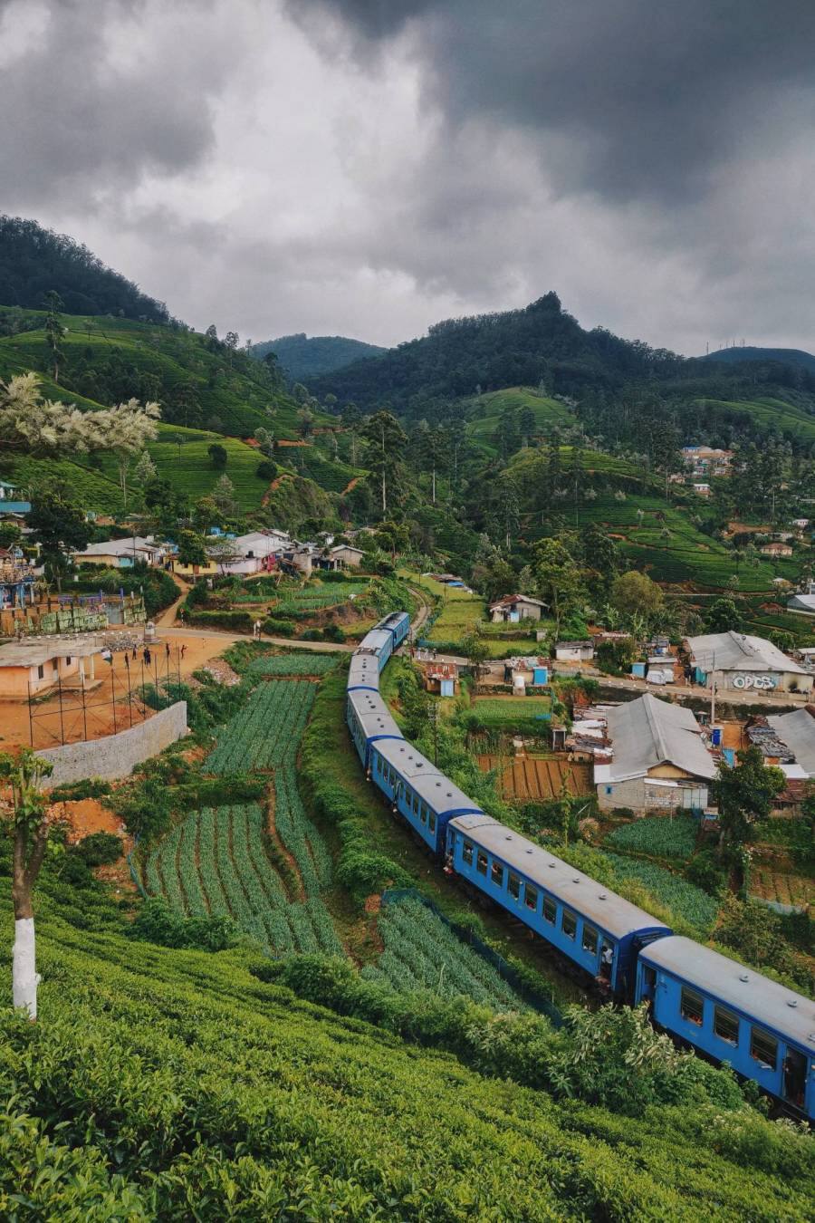 Nuwara Eliya. (Photo: Anton Lecock via Unsplash)