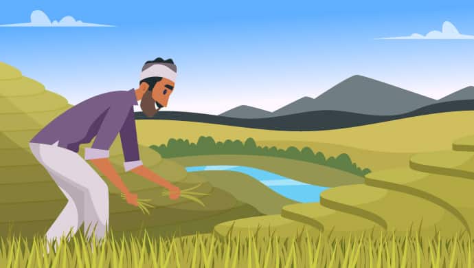 What is crop insurance? What is crop insurance?