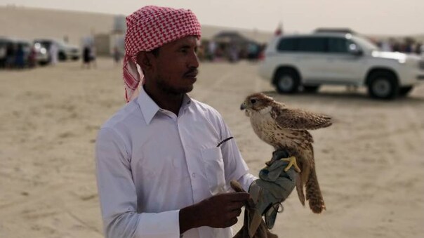FIFA World Cup 2022 Fan Guide: On a falcon trail in Doha