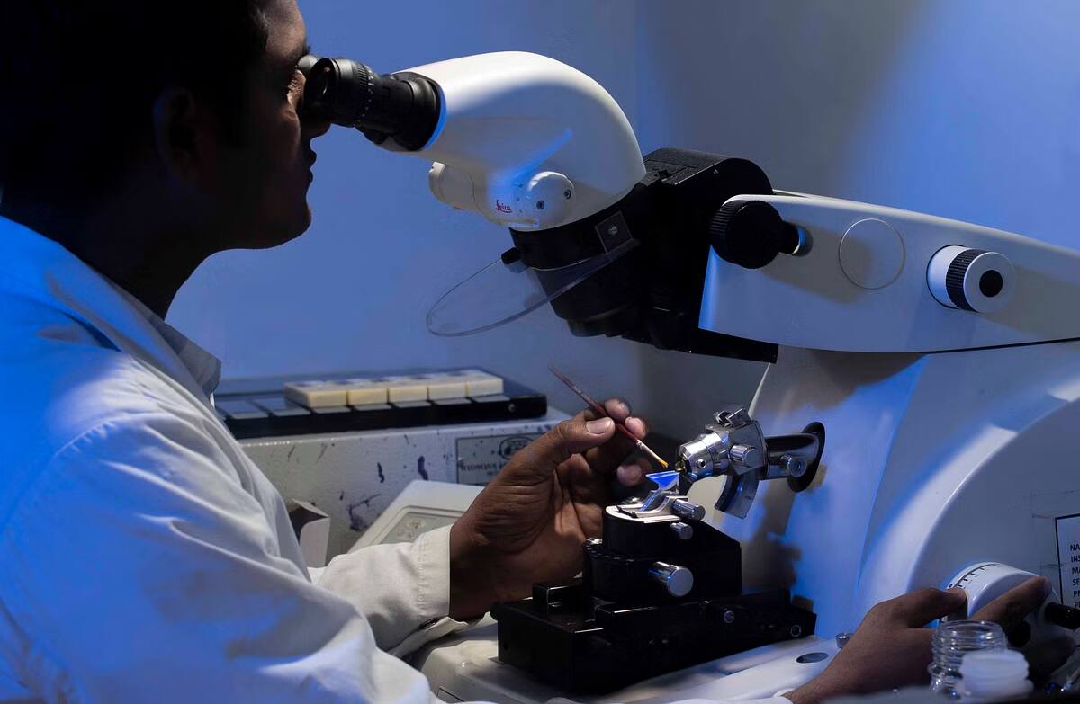 Krishna Institute of Medical Sciences: Foreign investor General Atlantic Singapore KH Pte Ltd has sold 23.2 lakh shares or 2.89% stake in KIMS via open market transaction at an average price of Rs 1,600 per share, which amounted to Rs 371.3 crore. As of March 2023, General Atlantic had held 8.61% stake or 68.89 lakh shares in KIMS.