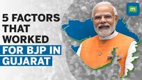 Gujarat Election Results 2022: 5 factors that worked for the BJP | Explained