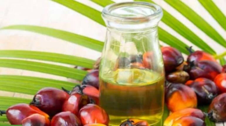 India sees almost two-fold jump in oilmeals export in April-November: SEA